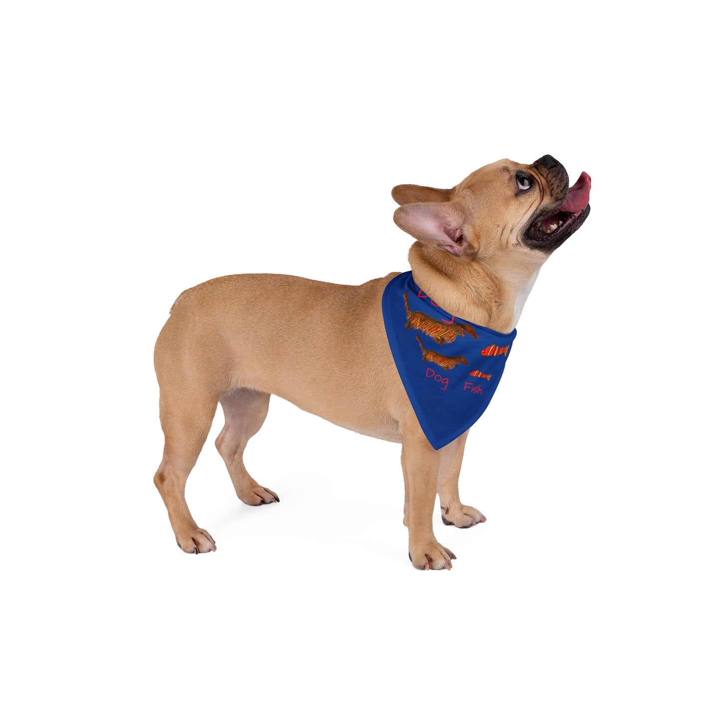Dog Fish Dog Bandana